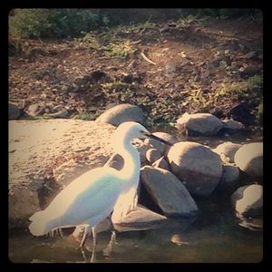 Meet your Posher, Malia